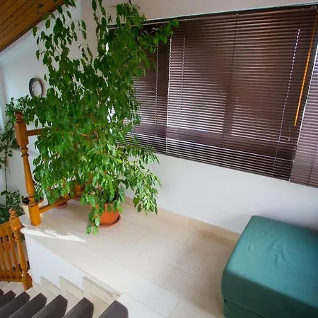 Tanja Apartment Podgora