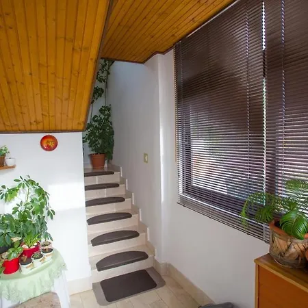 Tanja Apartment Podgora