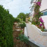 Tanja بودغورا